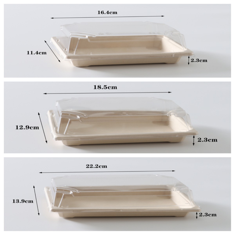 Takeaway Sushi Tray, Bagasse